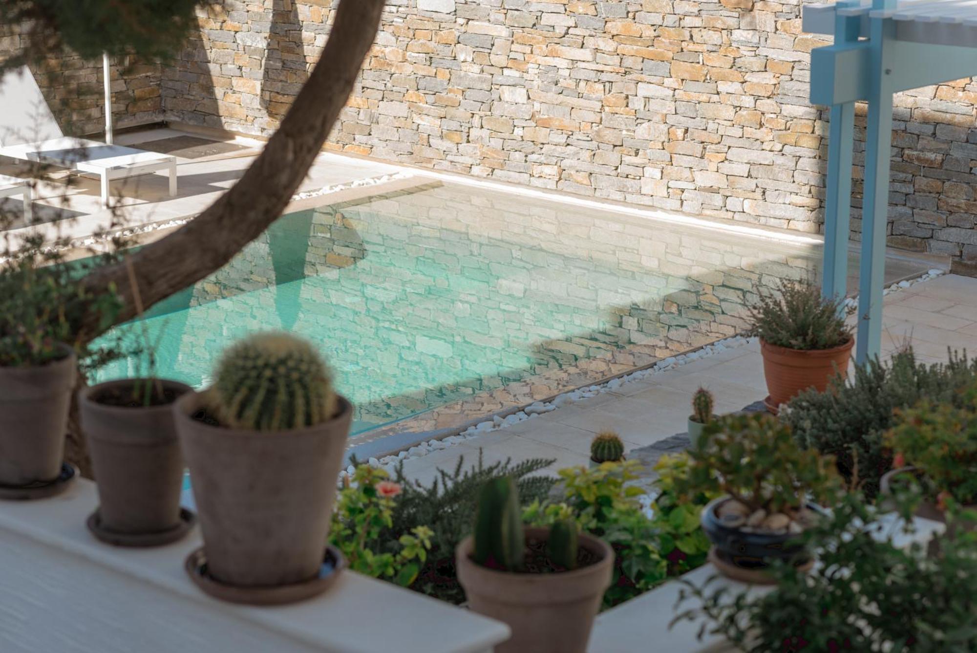 Anthos Apartments Naousa  Bagian luar foto